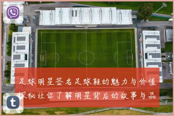 足球明星签名足球鞋的魅力与价值探秘让你了解明星背后的故事与品牌合作