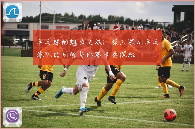 乒乓球的魅力之旅：深入深圳乒乓球队的训练与比赛节奏探秘