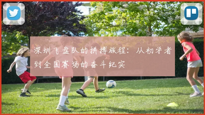 深圳飞盘队的拼搏旅程：从初学者到全国赛场的奋斗纪实