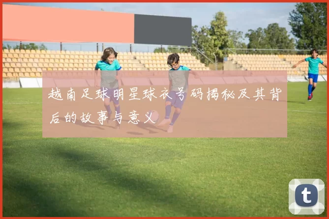 越南足球明星球衣号码揭秘及其背后的故事与意义