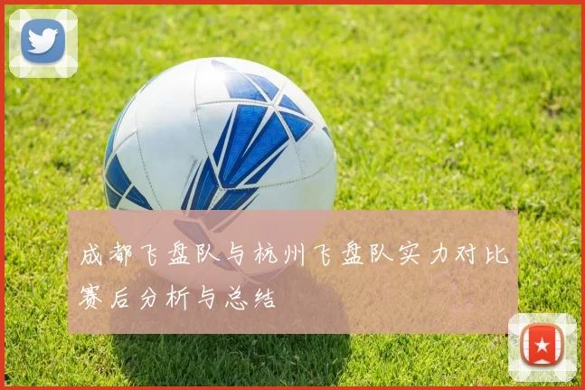 成都飞盘队与杭州飞盘队实力对比赛后分析与总结