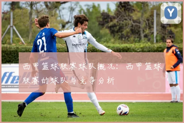 西甲篮球联赛球队概况：西甲篮球联赛的球队与竞争分析