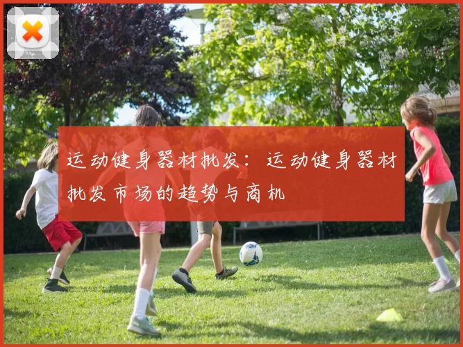 运动健身器材批发：运动健身器材批发市场的趋势与商机