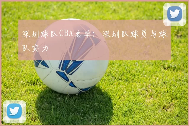 深圳球队CBA名单：深圳队球员与球队实力