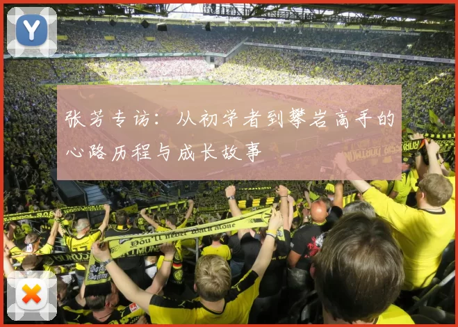 张芳专访：从初学者到攀岩高手的心路历程与成长故事