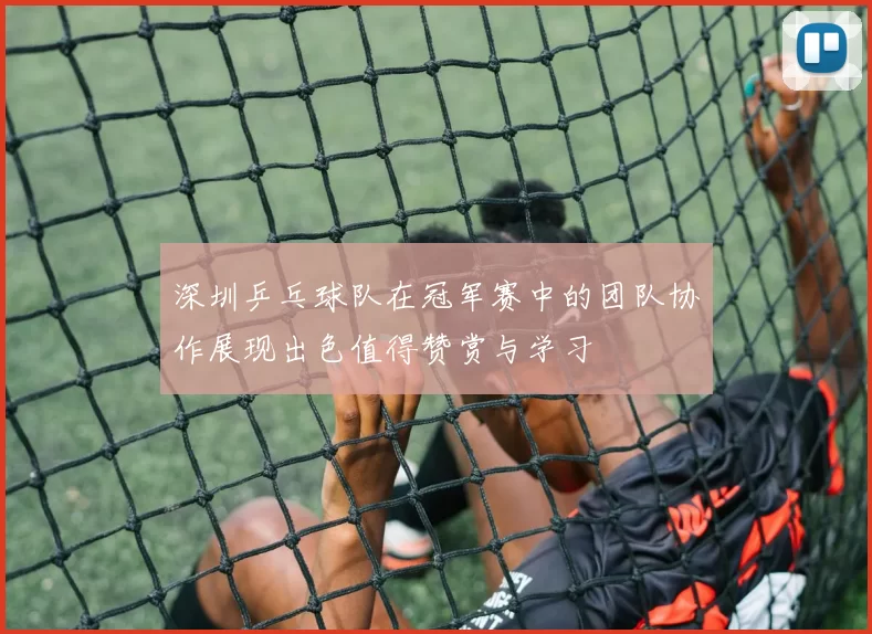 深圳乒乓球队在冠军赛中的团队协作展现出色值得赞赏与学习