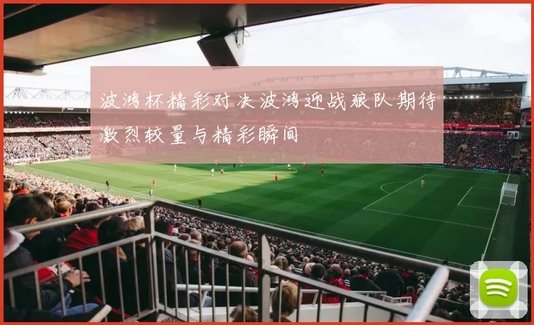 波鸿杯精彩对决波鸿迎战狼队期待激烈较量与精彩瞬间